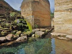 149 BIO PARC DE DOUE LA FONTAINE 6- 2016_000037